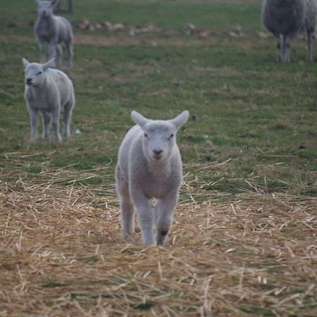 Woodhouse Farm Lodge سبلادنج المظهر الخارجي الصورة